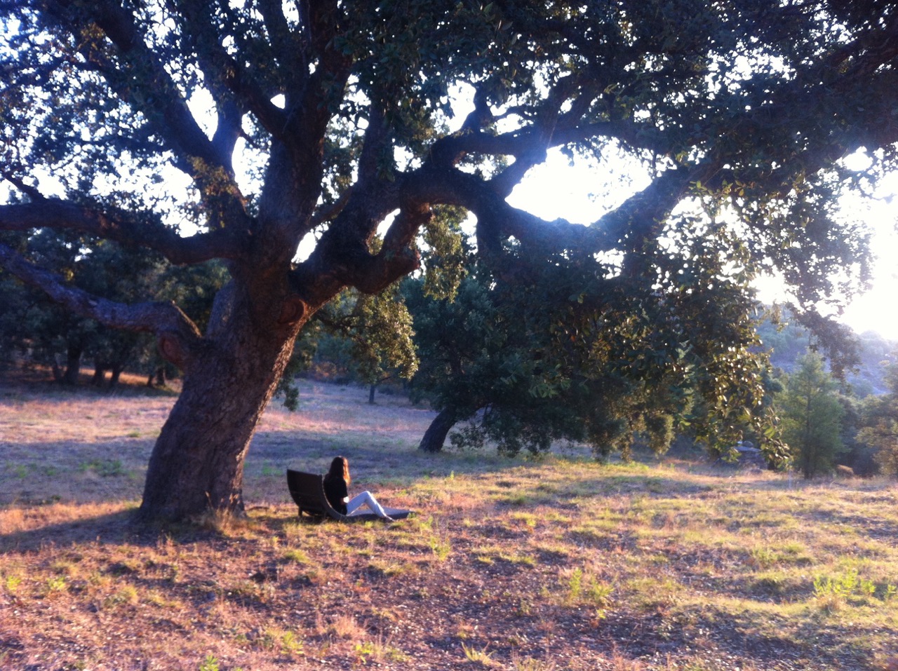 Chambre du gîte La Planète - Photo 3 - La Planète - Les Gardiens De La Terre, Sainte-Maxime