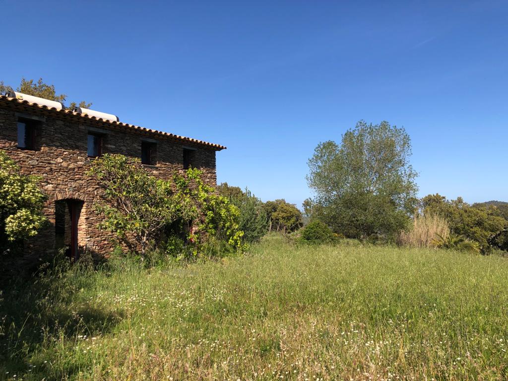 Chambre du gîte La Planète - Photo 4 - La Planète - Les Gardiens De La Terre, Sainte-Maxime