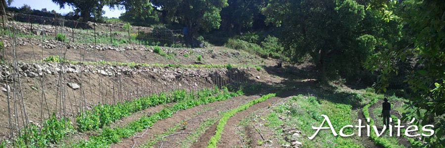 Agro-biologie permaculture - La Planète - Les Gardiens De La Terre, Sainte-Maxime